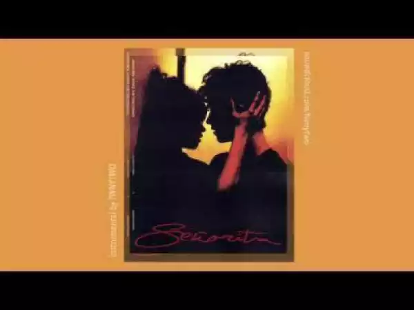 Instrumental: Camila Cabello - Senorita ft Shawn Mendes